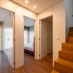 Terro Collection - Sao Vicente 86