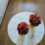 Terro Collection - Sao Vicente 86 * Braga