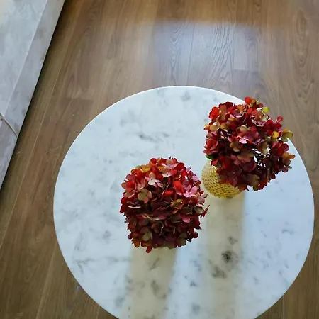 Terro Collection - São Vicente 86 * Braga