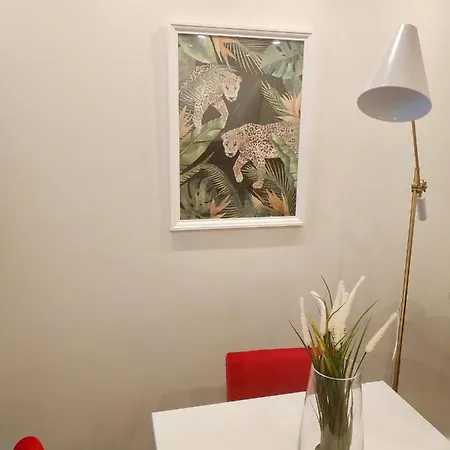 Apartamento Terro Collection - São Vicente 86 Braga