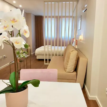 Terro Collection - São Vicente 86