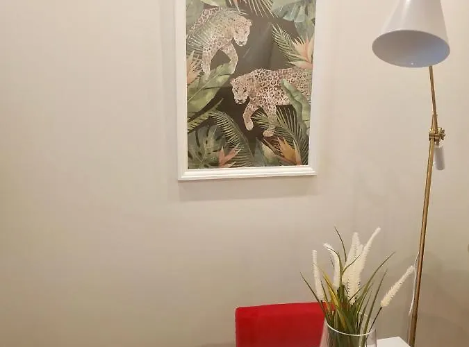 Apartamento Terro Collection - Sao Vicente 86 Braga