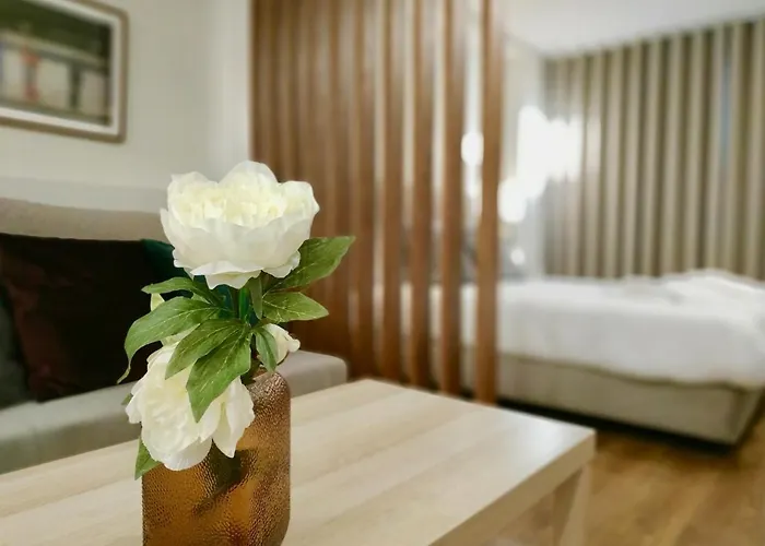 Terro Collection - Sao Vicente 86