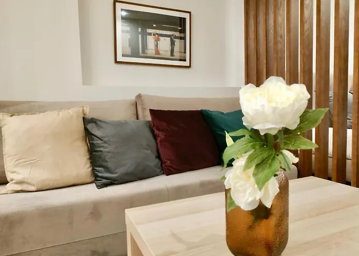 Terro Collection - Sao Vicente 86 * Braga